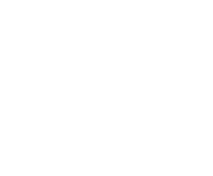 St Johns International Logo - Inverted